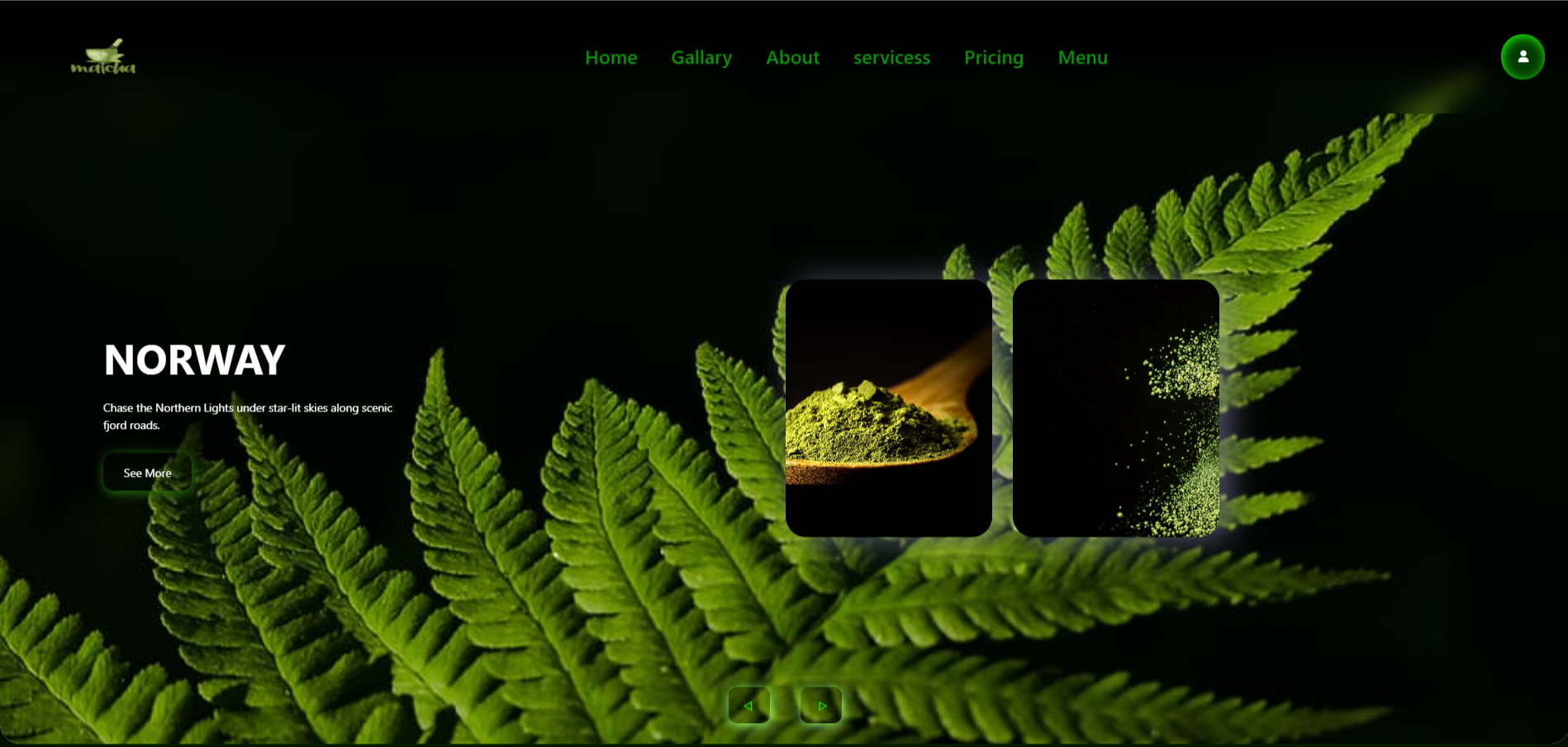 project preview